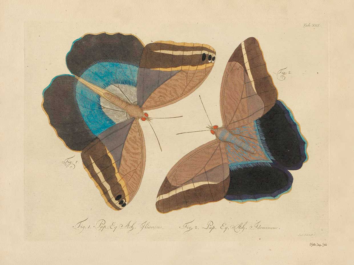 Vintage Butterflies 2