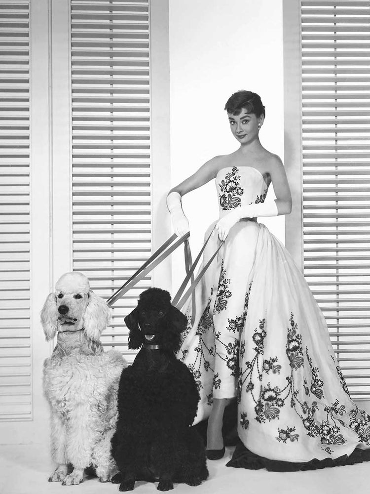 Audrey Hepburn in Sabrina (1954)