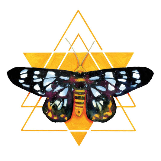 Mystic Moth 2