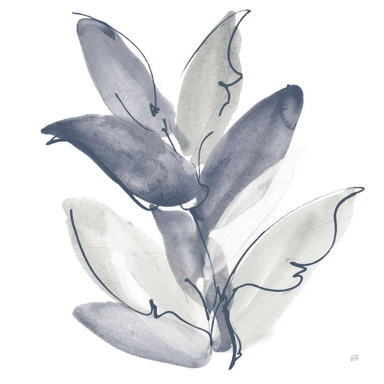 From the Forest II Cool