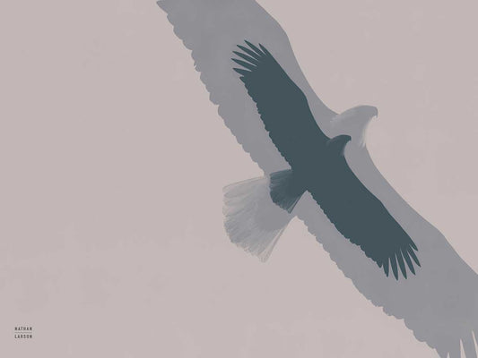 Double Eagle Flight Canvas Print