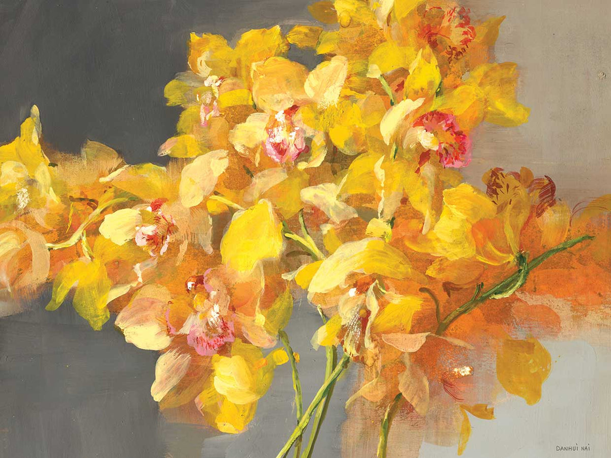 Orchid Dreaming