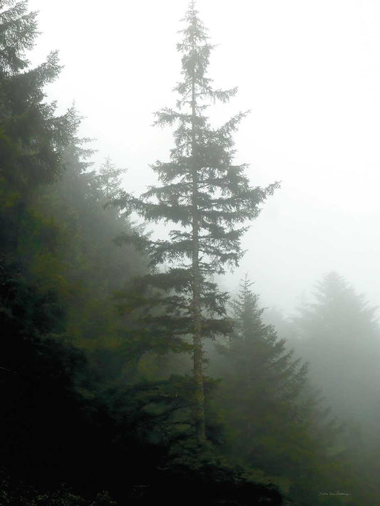 Majestic Pines I