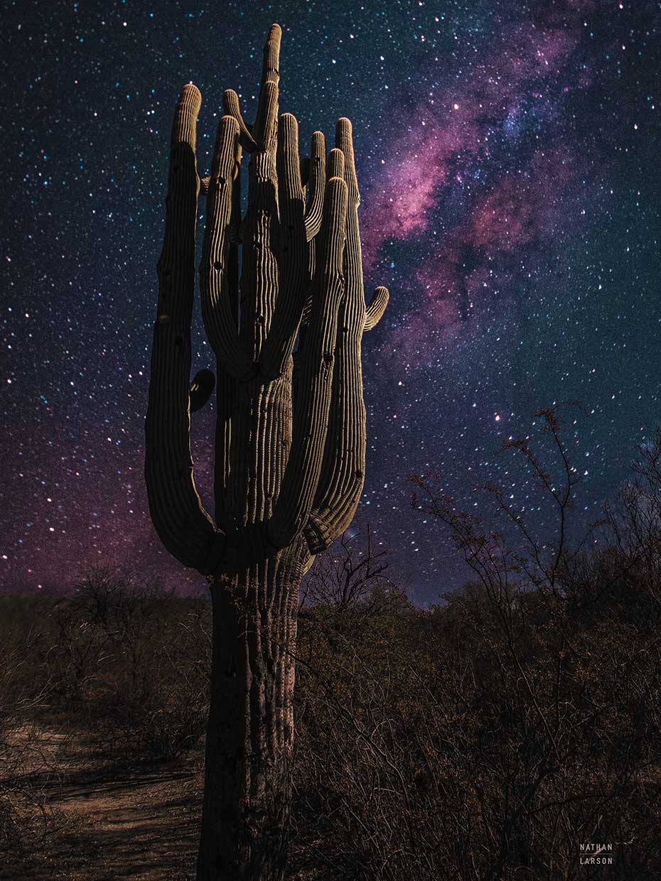 Desert Nights