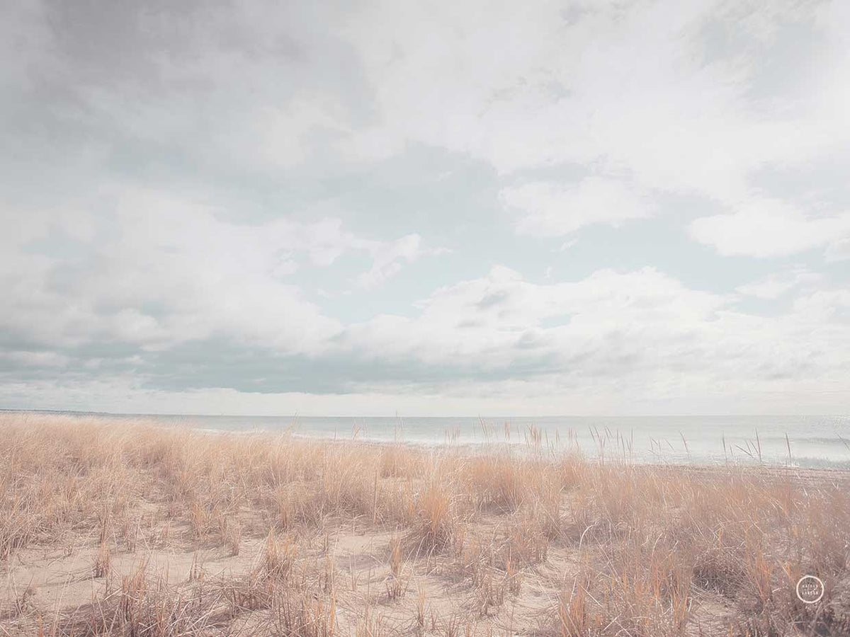 Deserted Sands