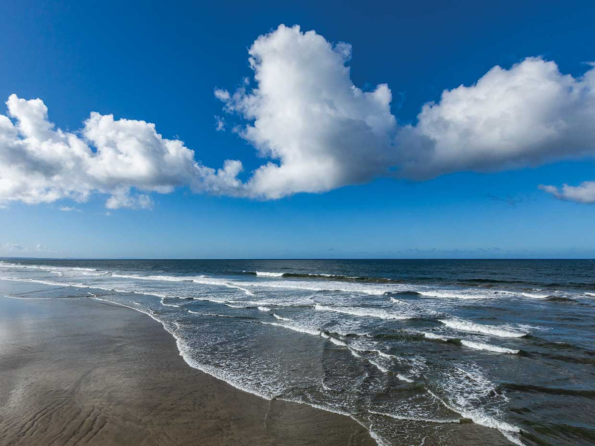 Coastal Beauty