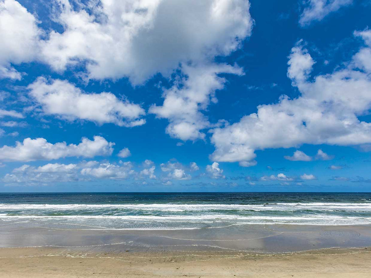 Coastal Serenity