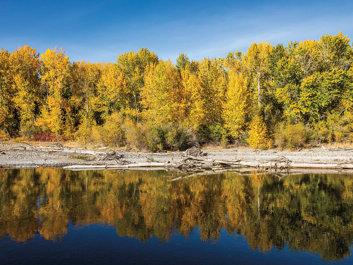 Fall Reflections Photography