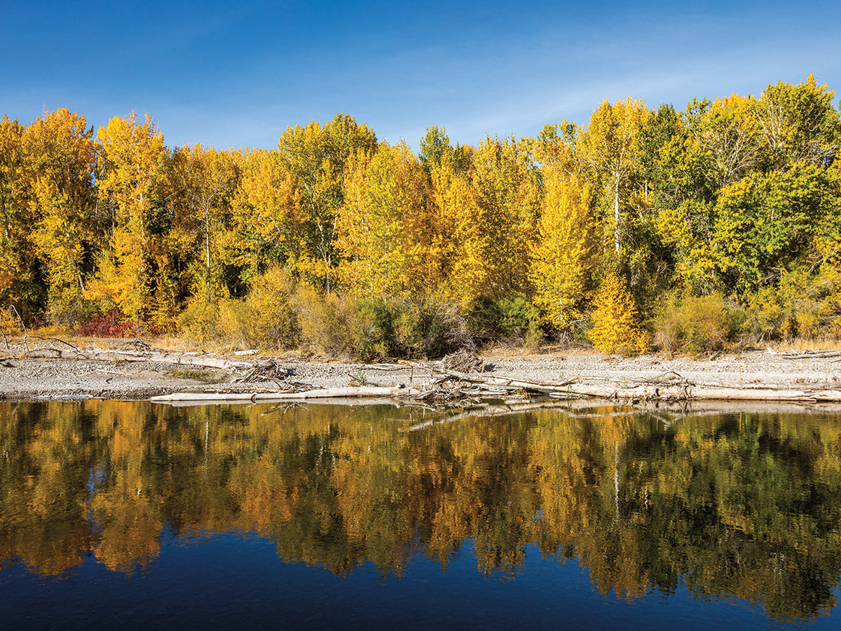 Fall Reflections Photography