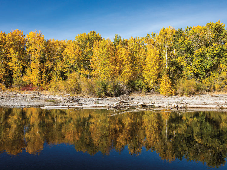 Fall Reflections Photography