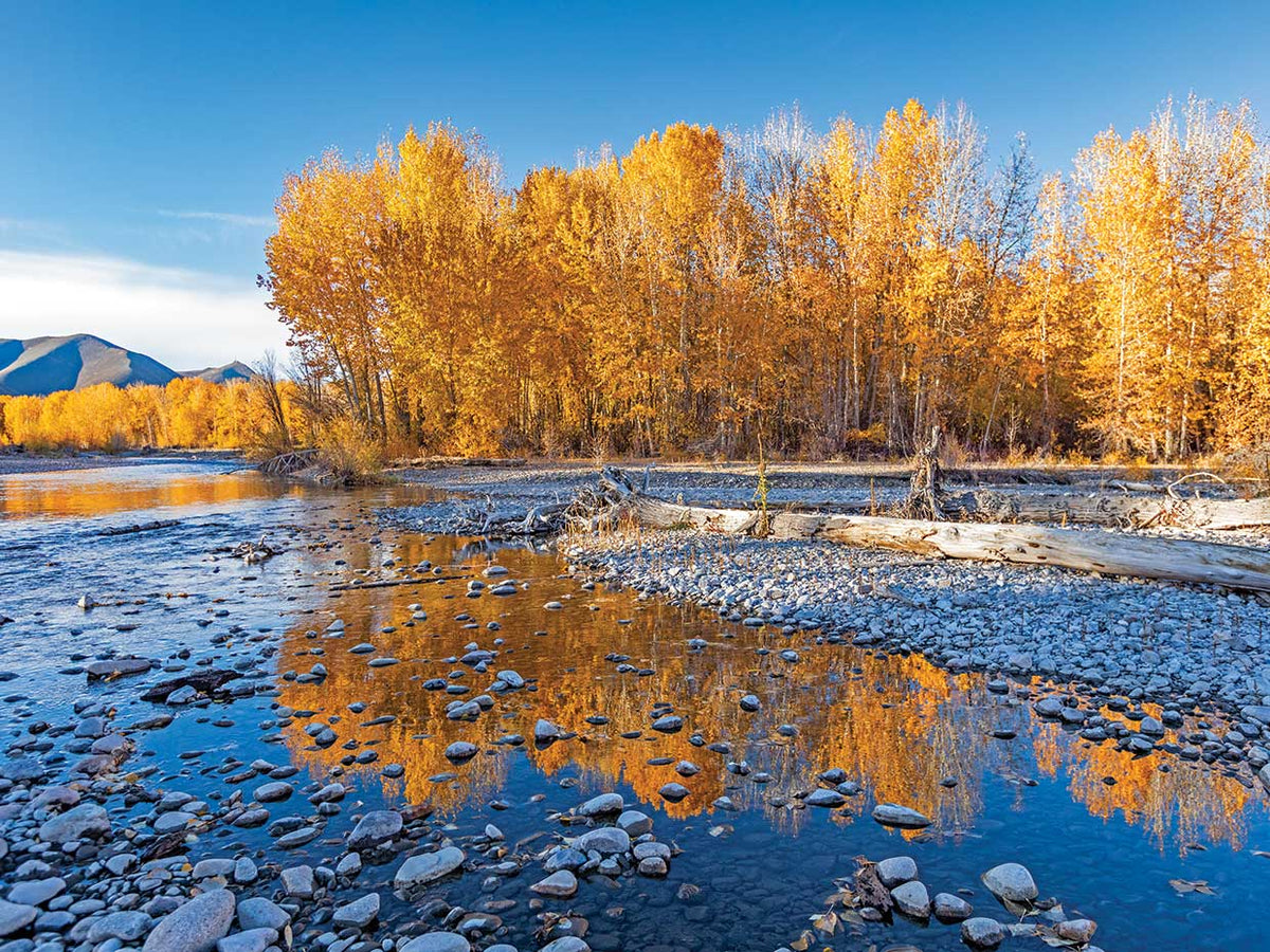 Fall Along The River 2