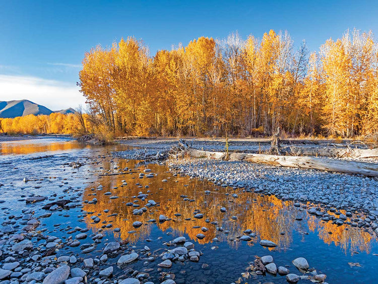 Fall Along The River 2