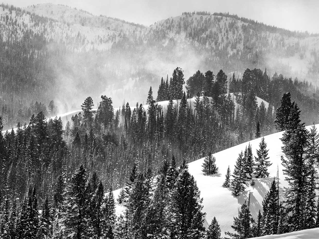 Stunning Captures In Black and White 1