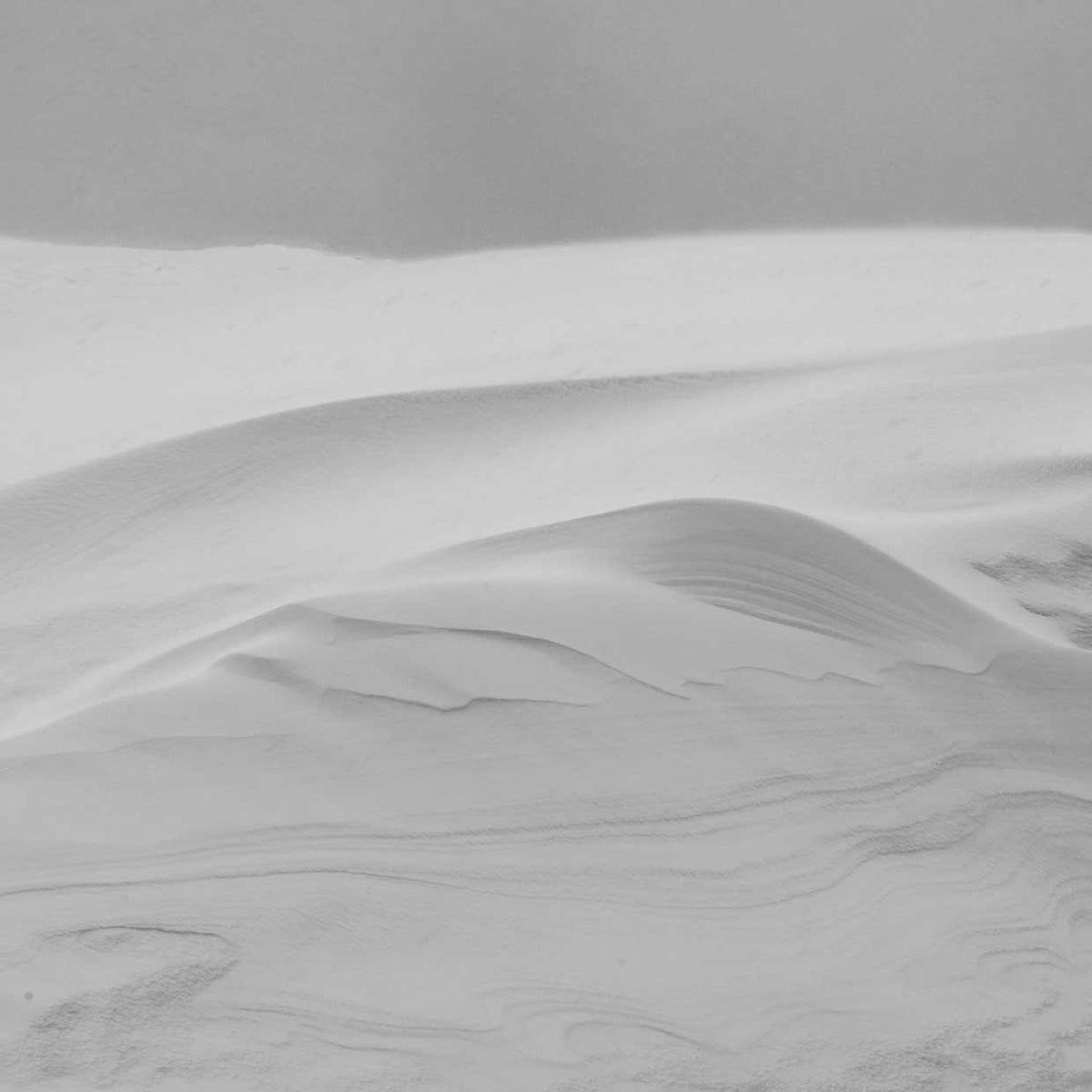Zen Views 6