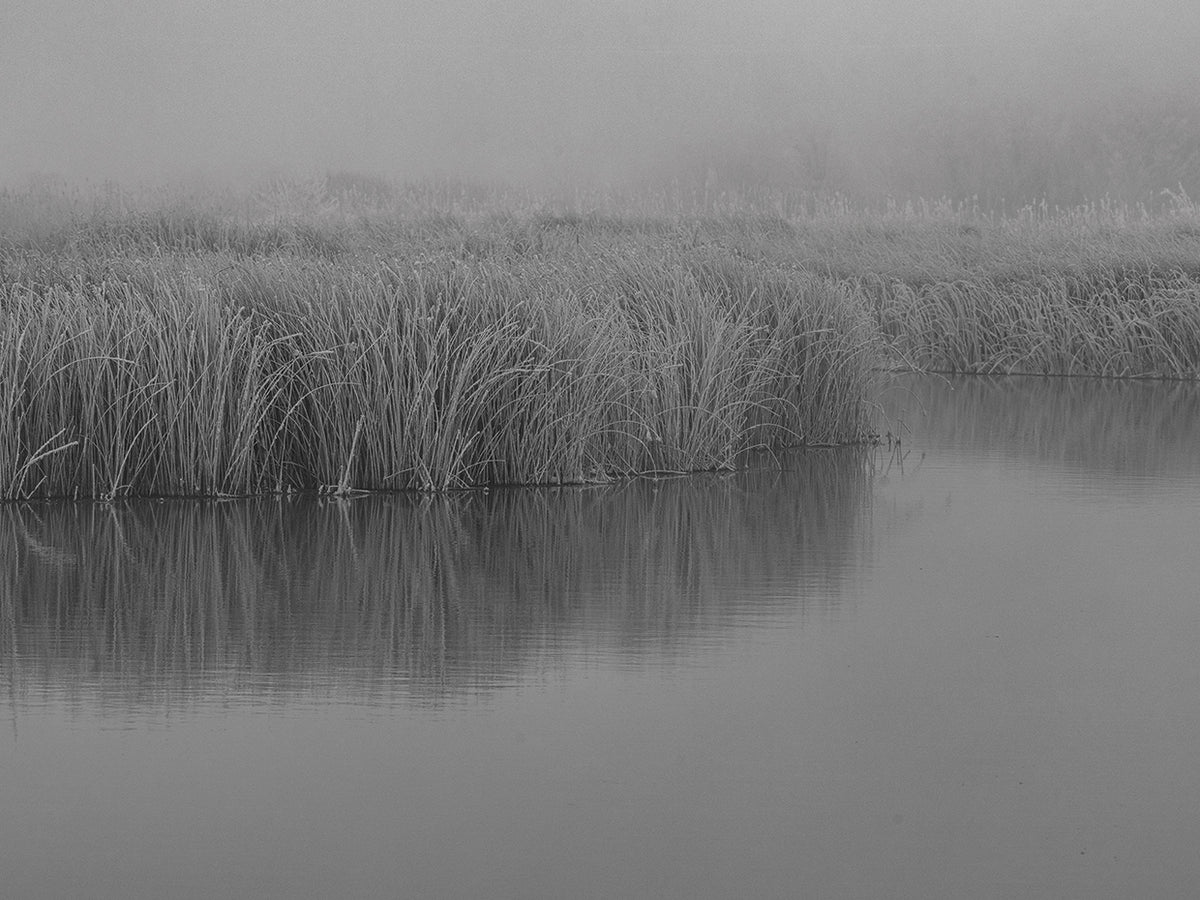 Winter River