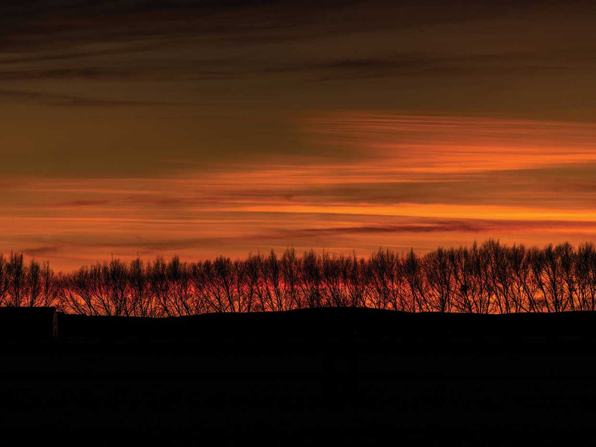 Warm Sunset