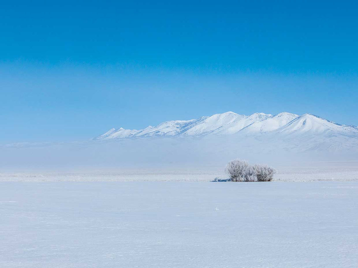 Winter Magic