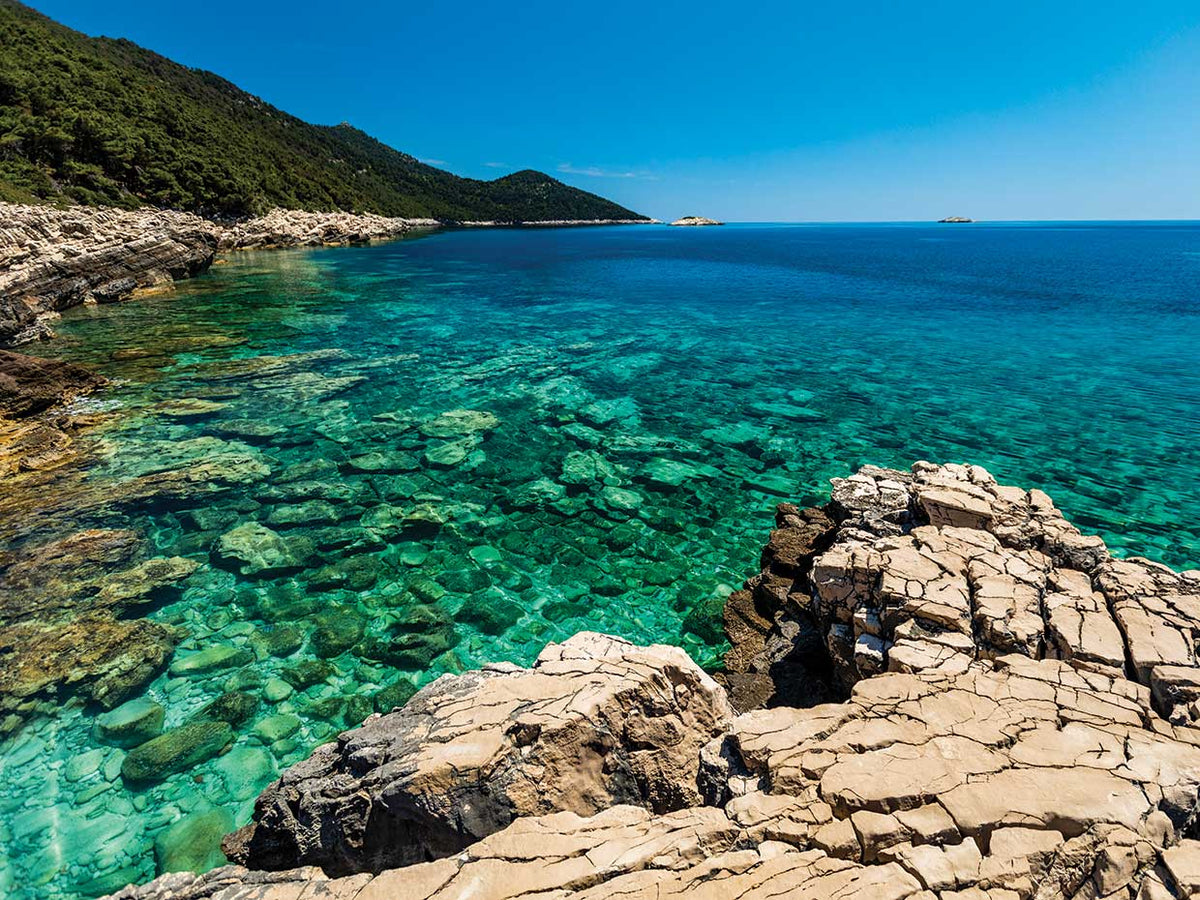 Tropical Coast