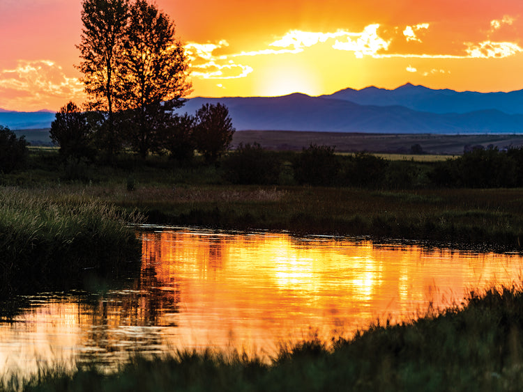 Reflections Of A Sunset