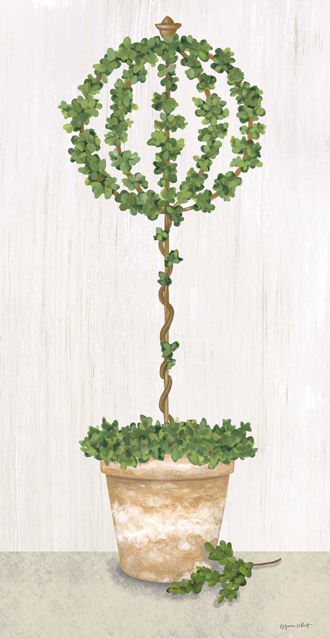 Boxwood Trained Topiary