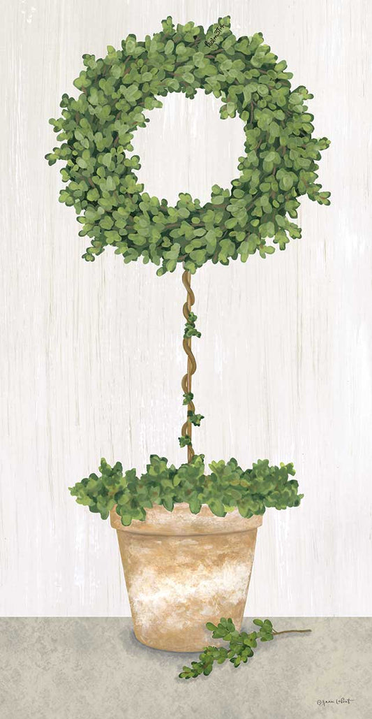 Boxwood Wreath Topiary Canvas Print