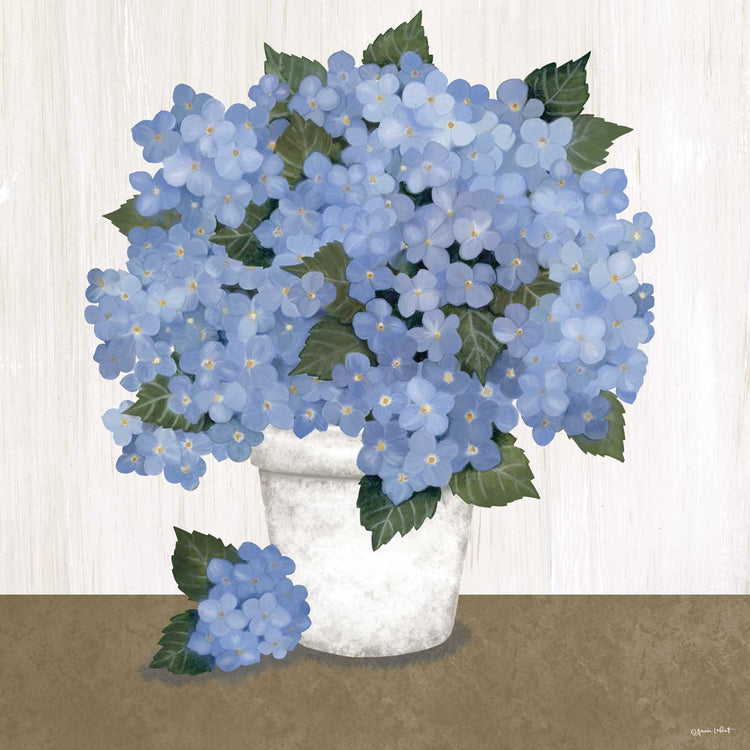 Blue Hydrangeas