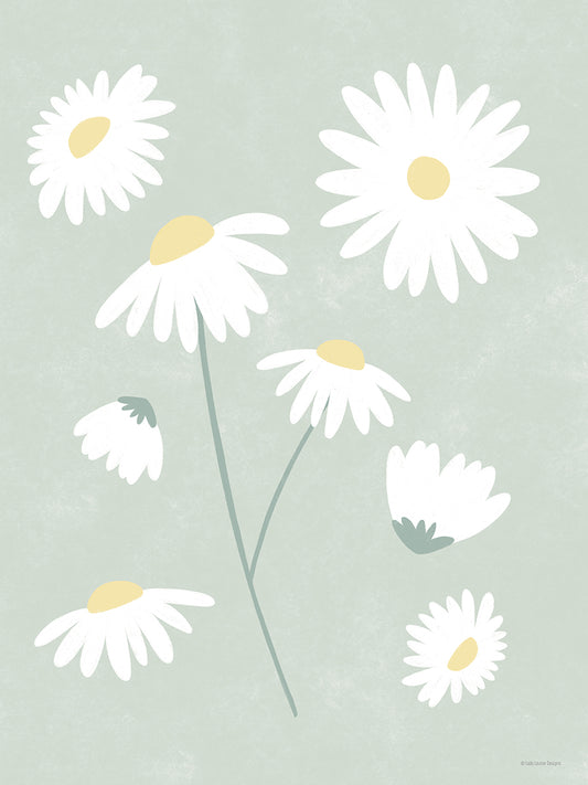 More Daisies