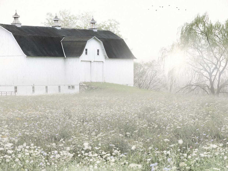 Foggy Country Barn