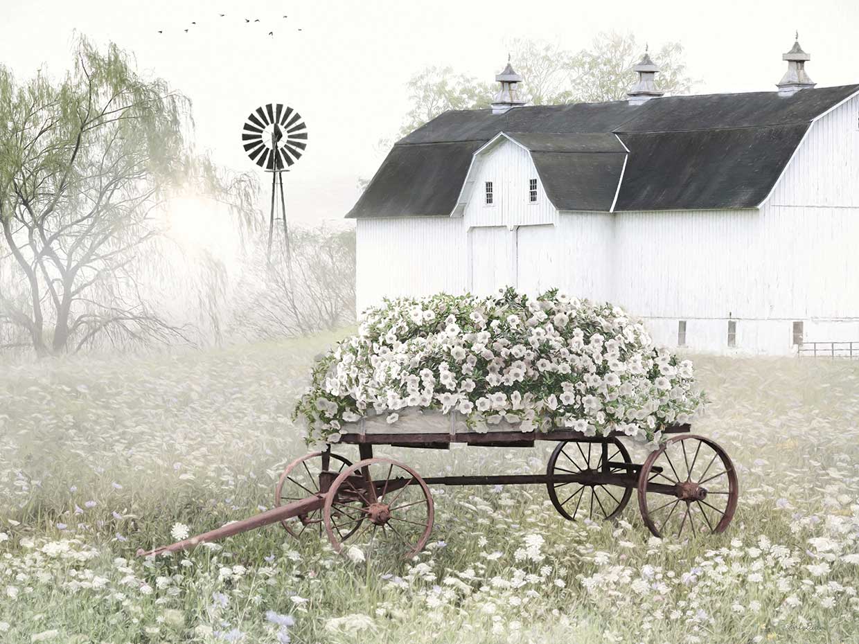 Summer in White