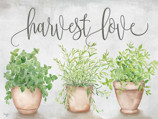 Harvest Love Canvas Print