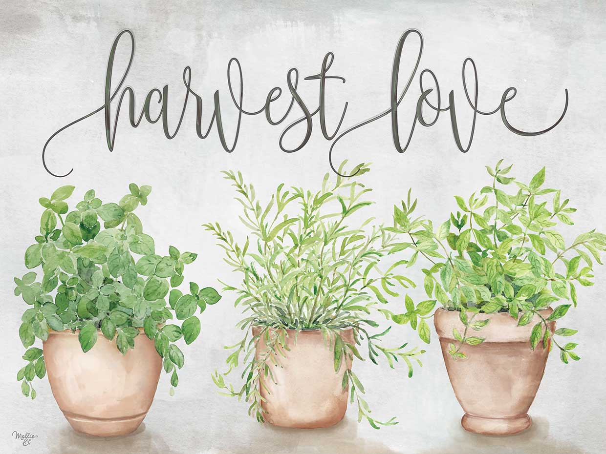 Harvest Love