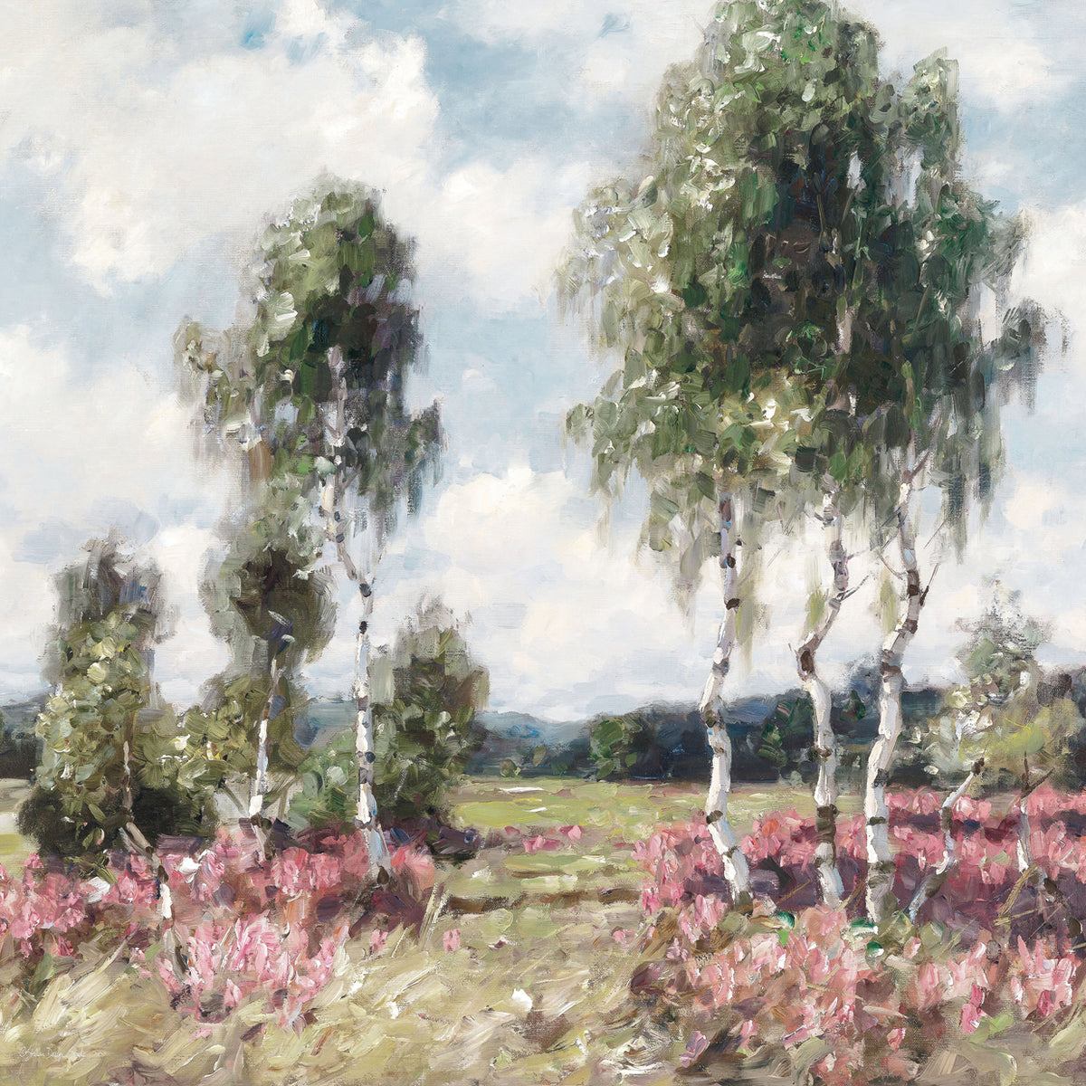 Summer Day Birches
