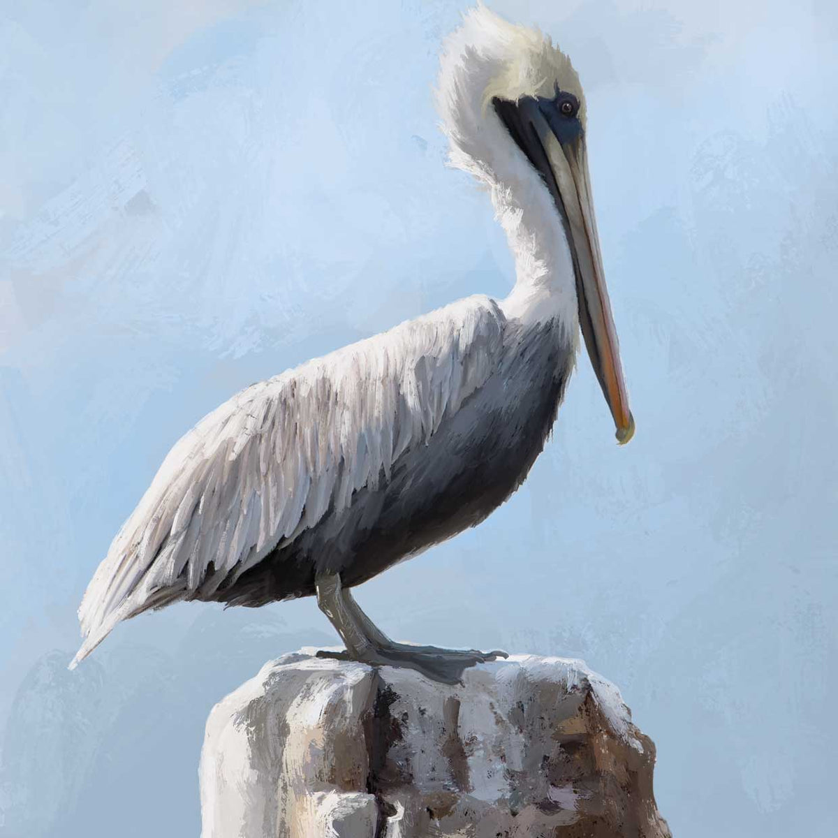 Pelican Watch