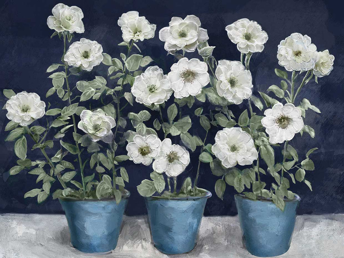 Potted Whites