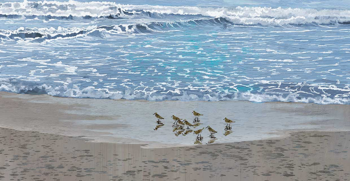 Sandpiper Morning