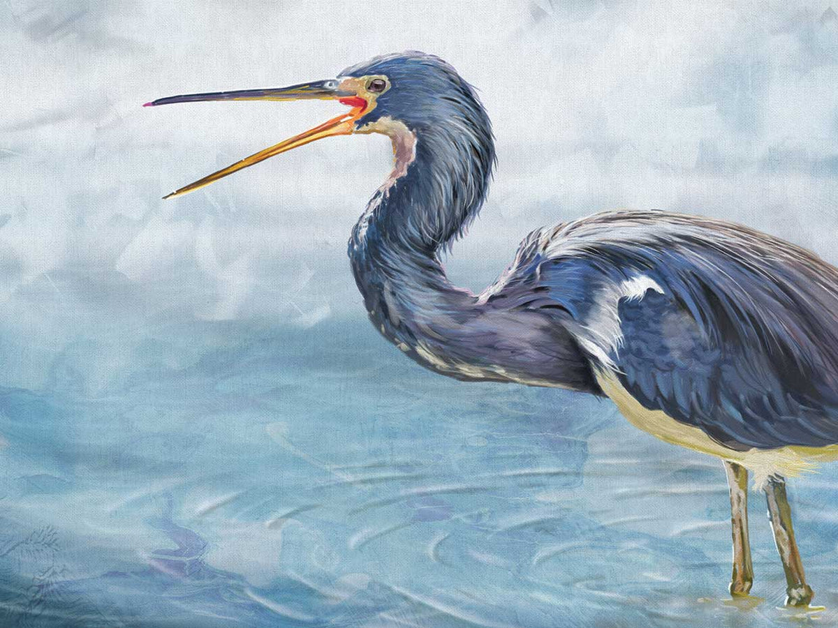 Shorebird Blues
