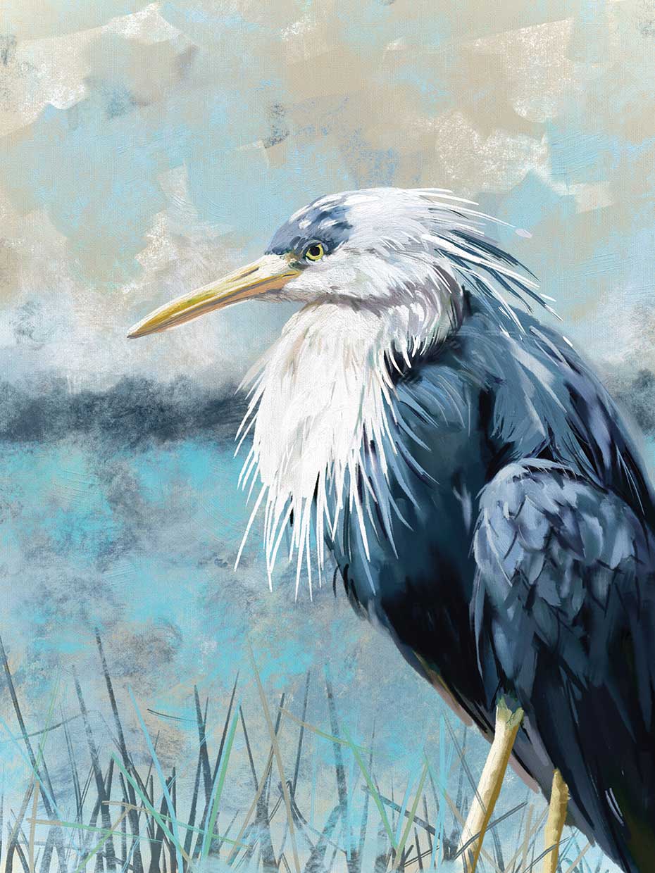 Shorebird Classic