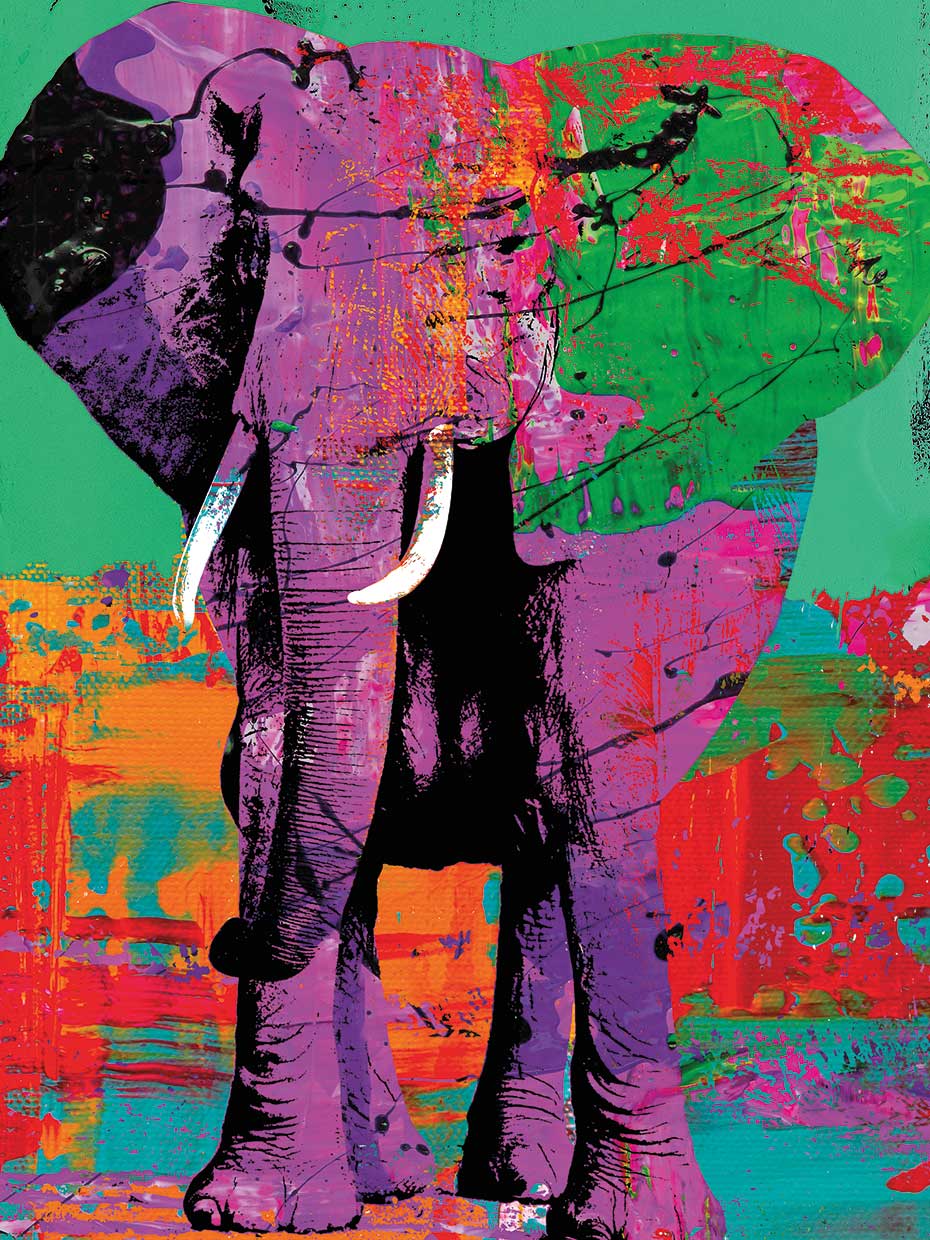 Pop Elephant