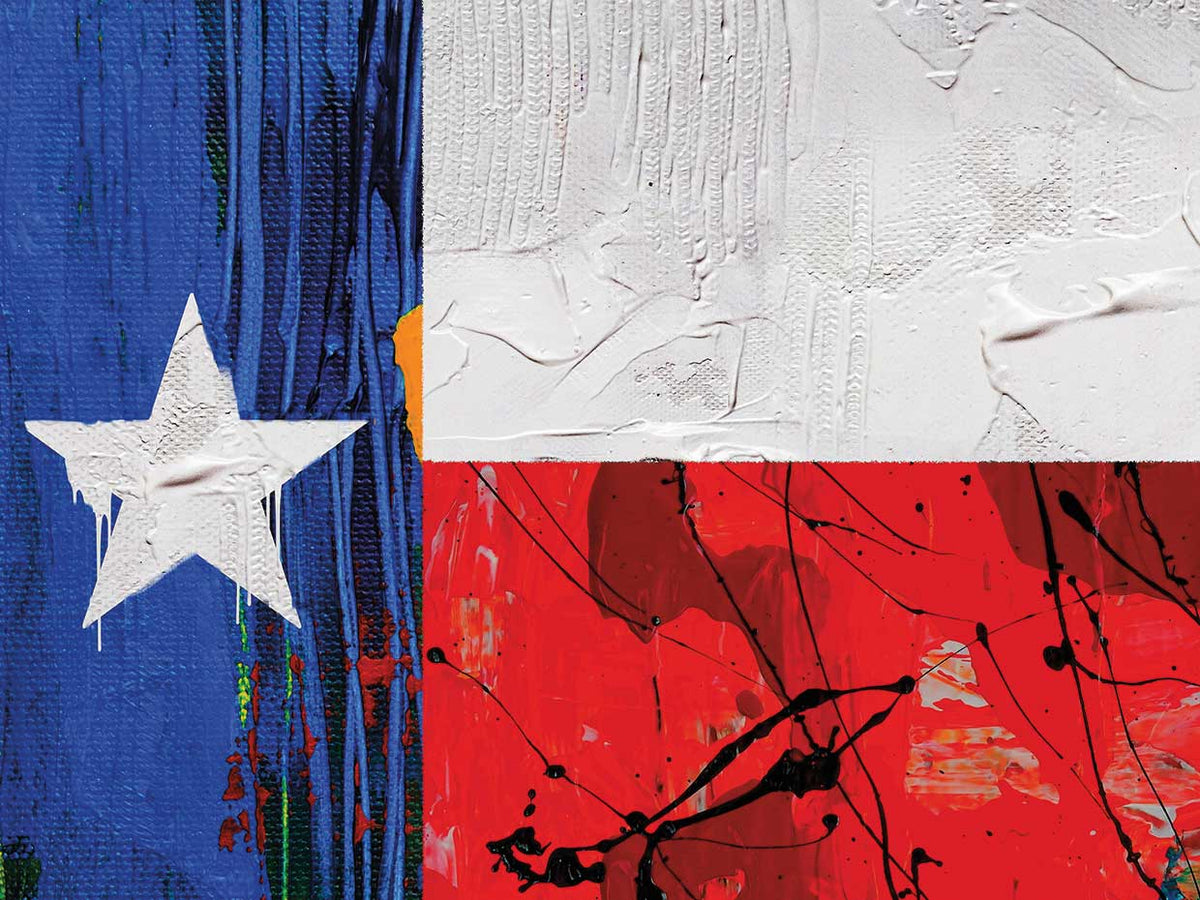 The Pop Art Factory's Texas Flag Canvas Art Prints | Fine Art Canvas
