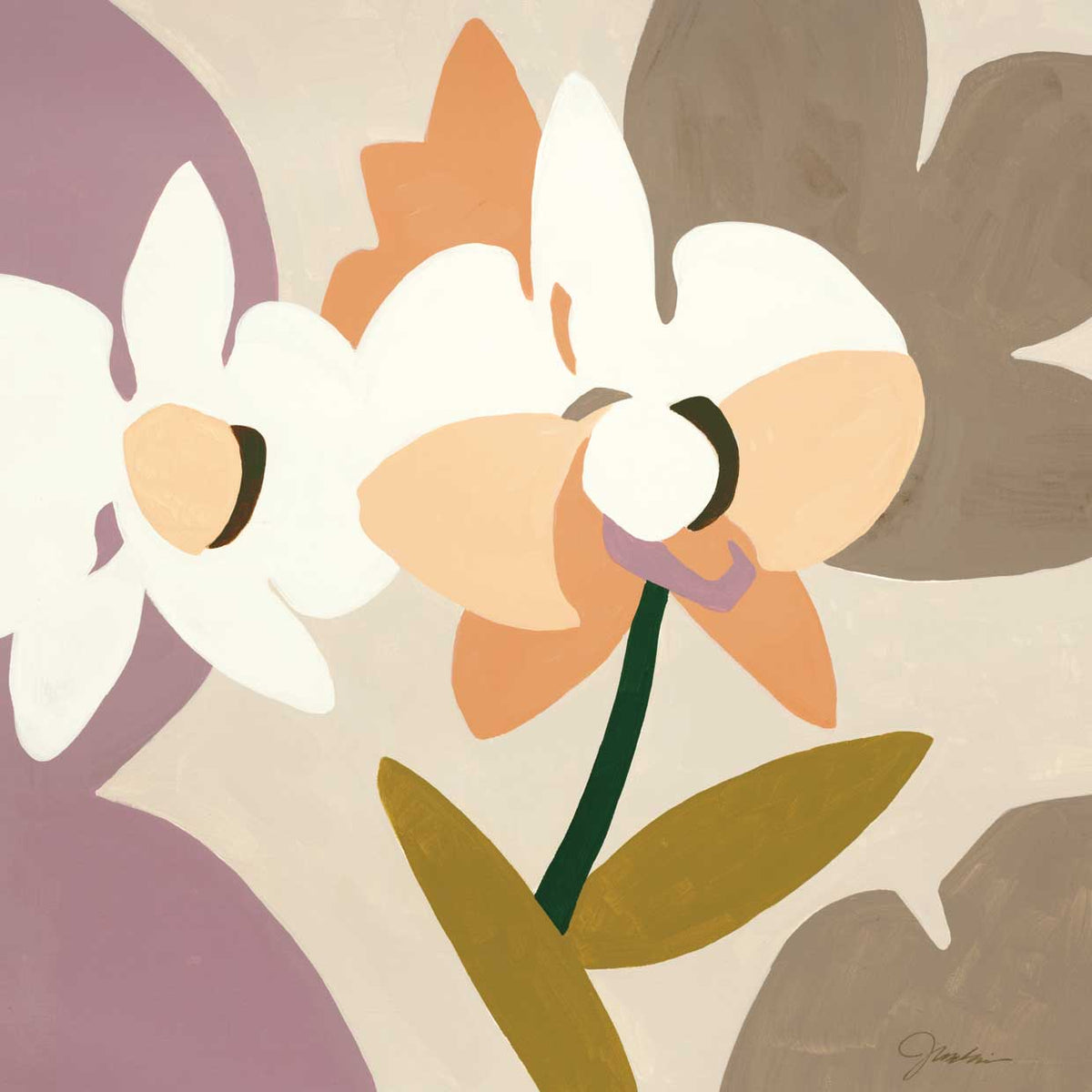 Paper Orchid