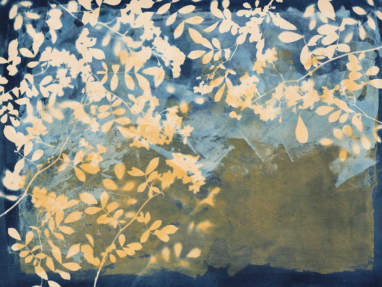 Roadside Attractions