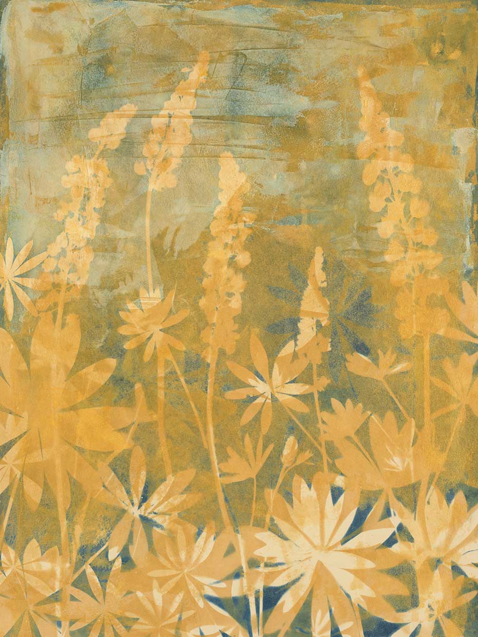 Lupine Light