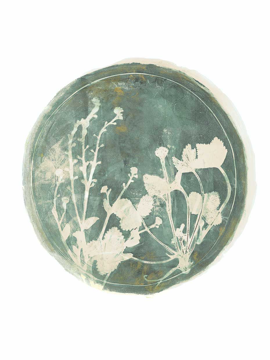 Strawberries and Forg I