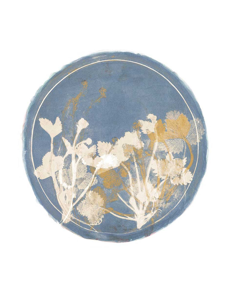 Strawberries and Forg II