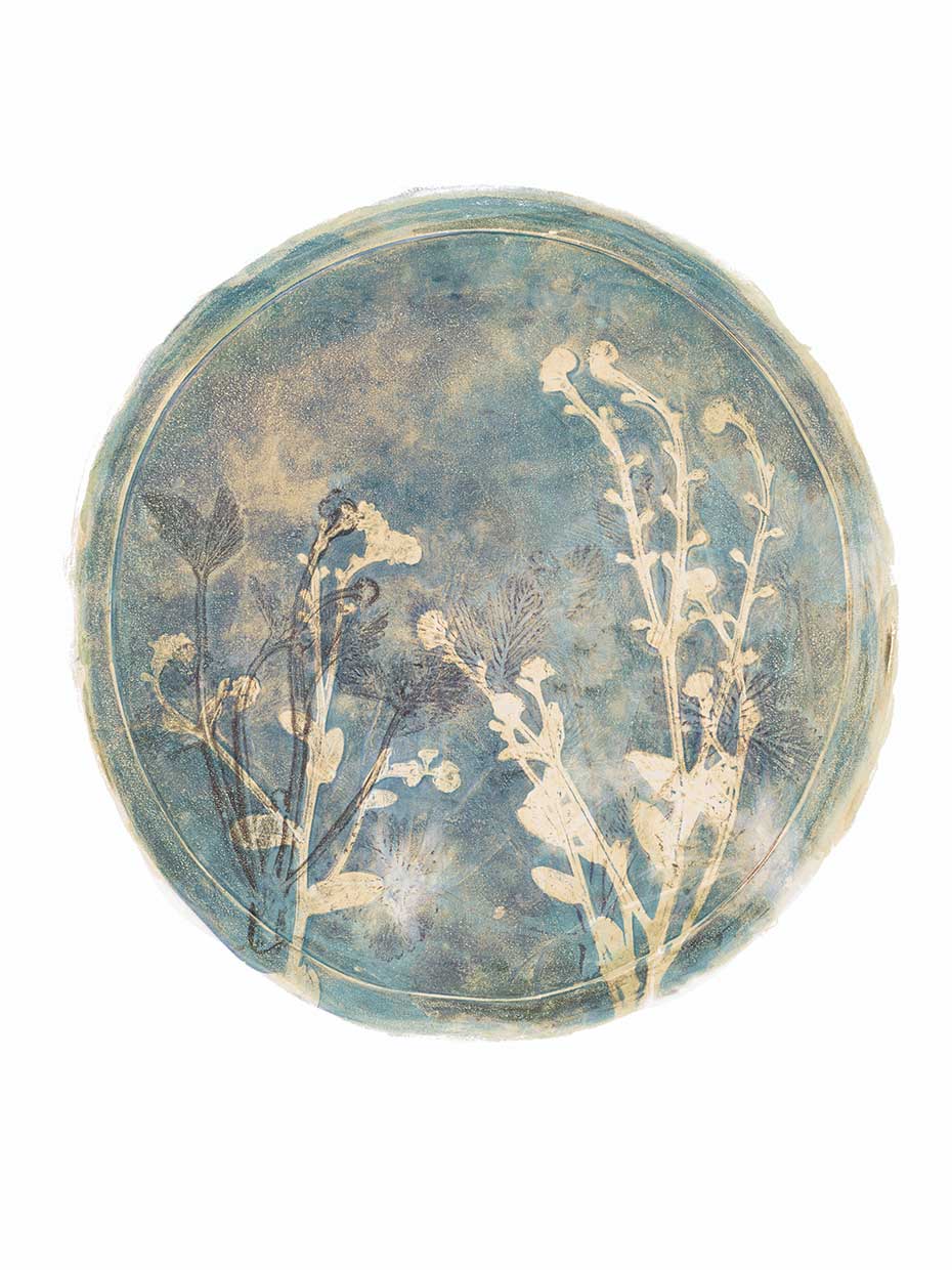 Strawberries and Forg III