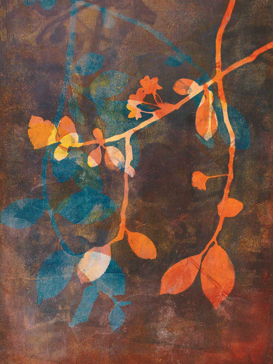 Branching Out V