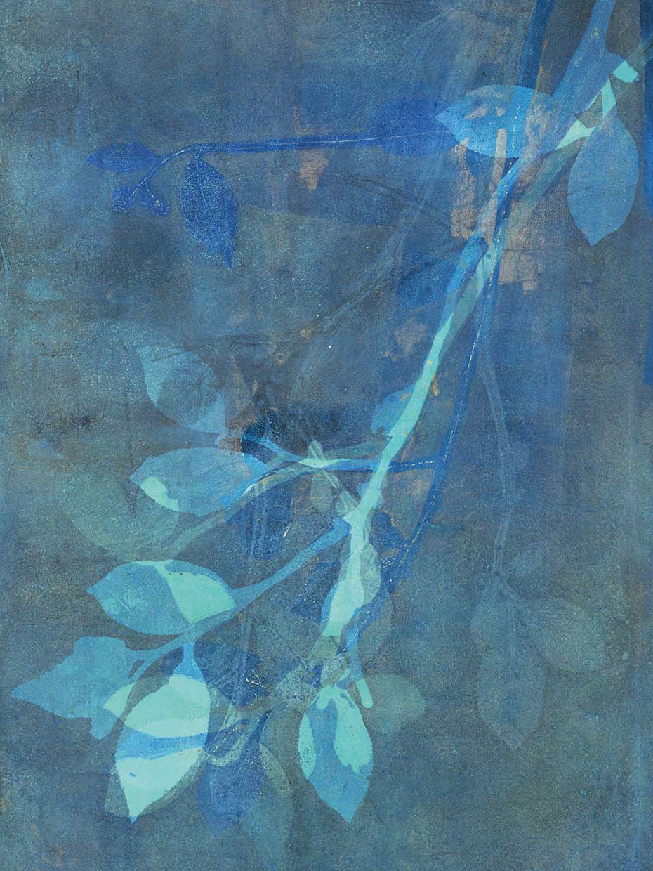 Branching Out VIII