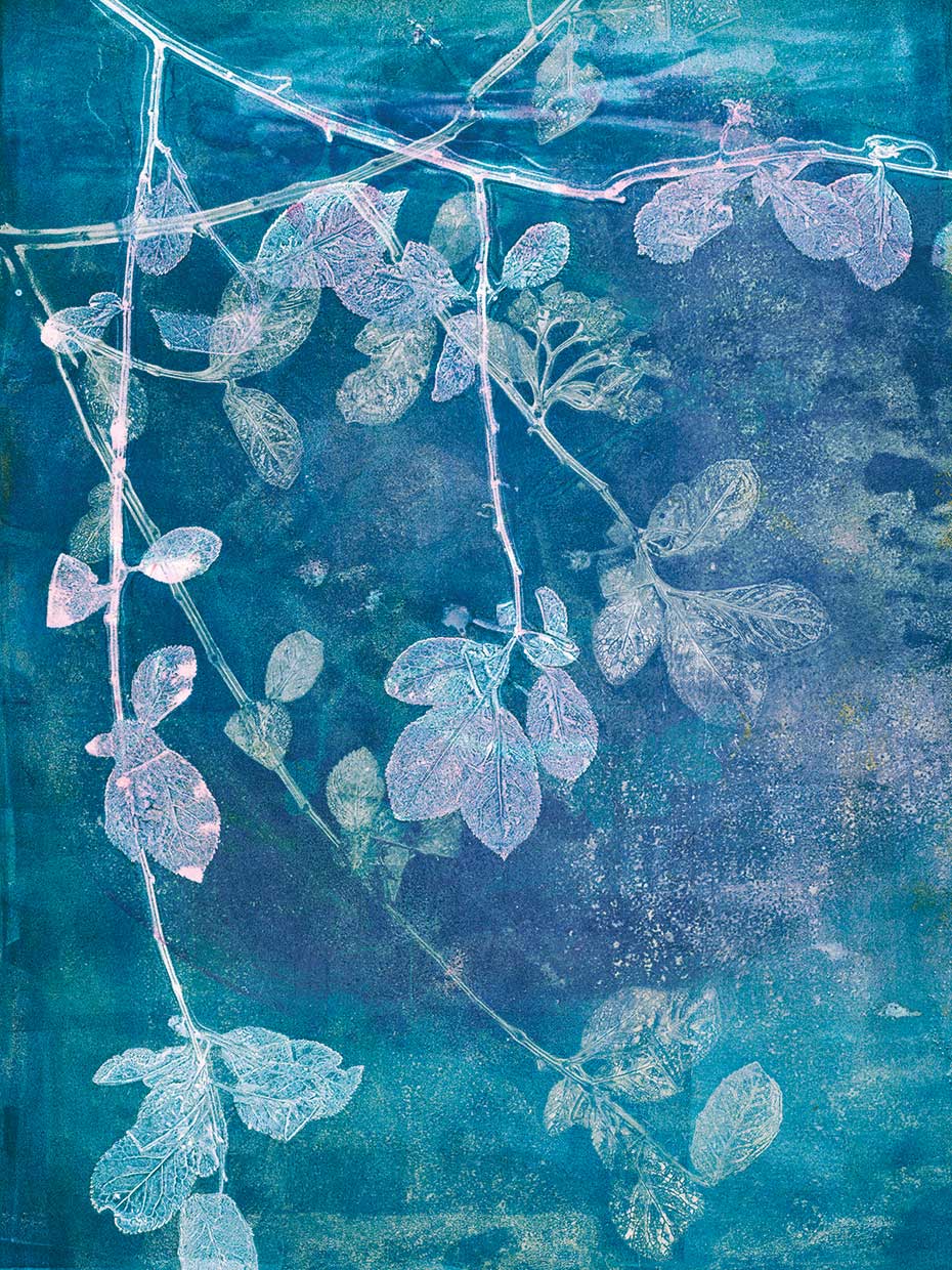 Branching Out VII