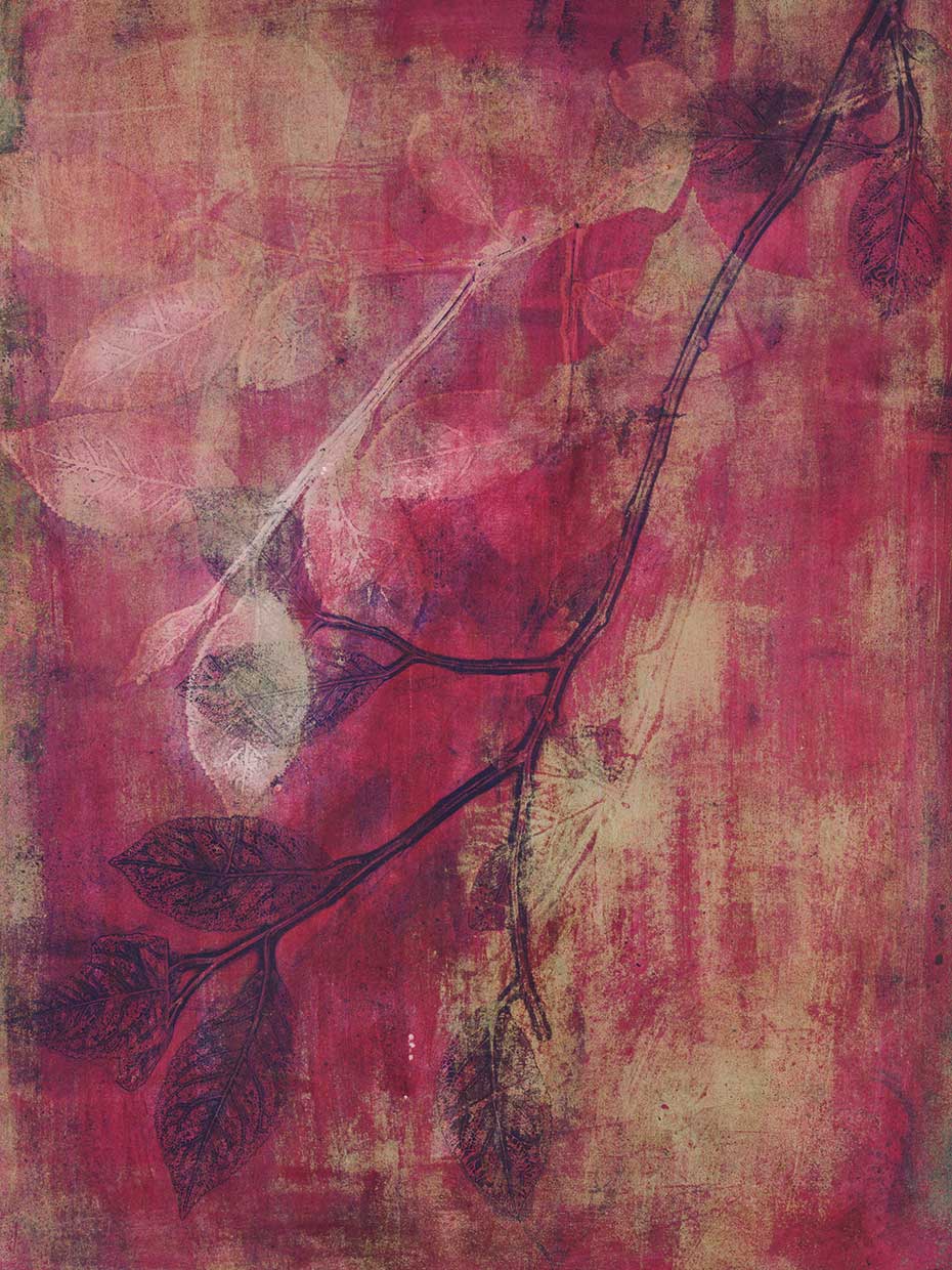 Branching Out XVII