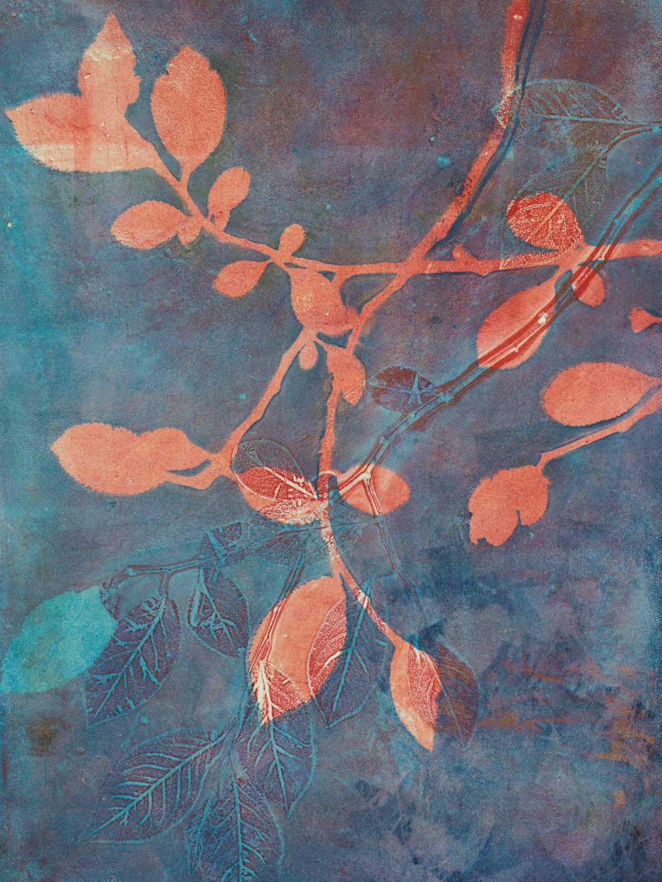 Branching Out XVIII
